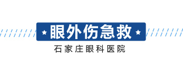今年会com